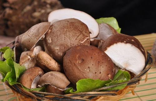 香菇的價格和挑選保存